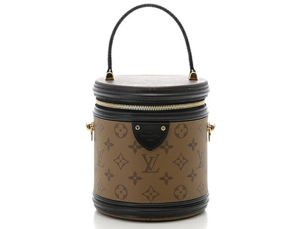 Louis Vuitton Monogram Cannes Reverse Vanity Bag Brown